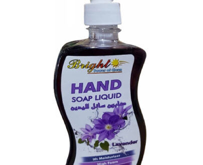 500-ML-BRIGHT-HAND-SOAP-LAVENDER-6291107494654