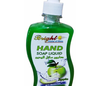 BRIGHT-HAND-SOAP-APPLE-500ml-6291107494661-green