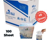 Pure Soft Facial Tissue Cubic Plain Box, 48boxes/ctn, 100 Sheets, 2ply, 21x19cm