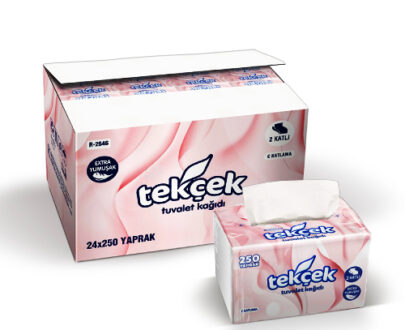 C Fold Toilet Paper, 2 ply, 24×250 sheet, tekcek, 300501